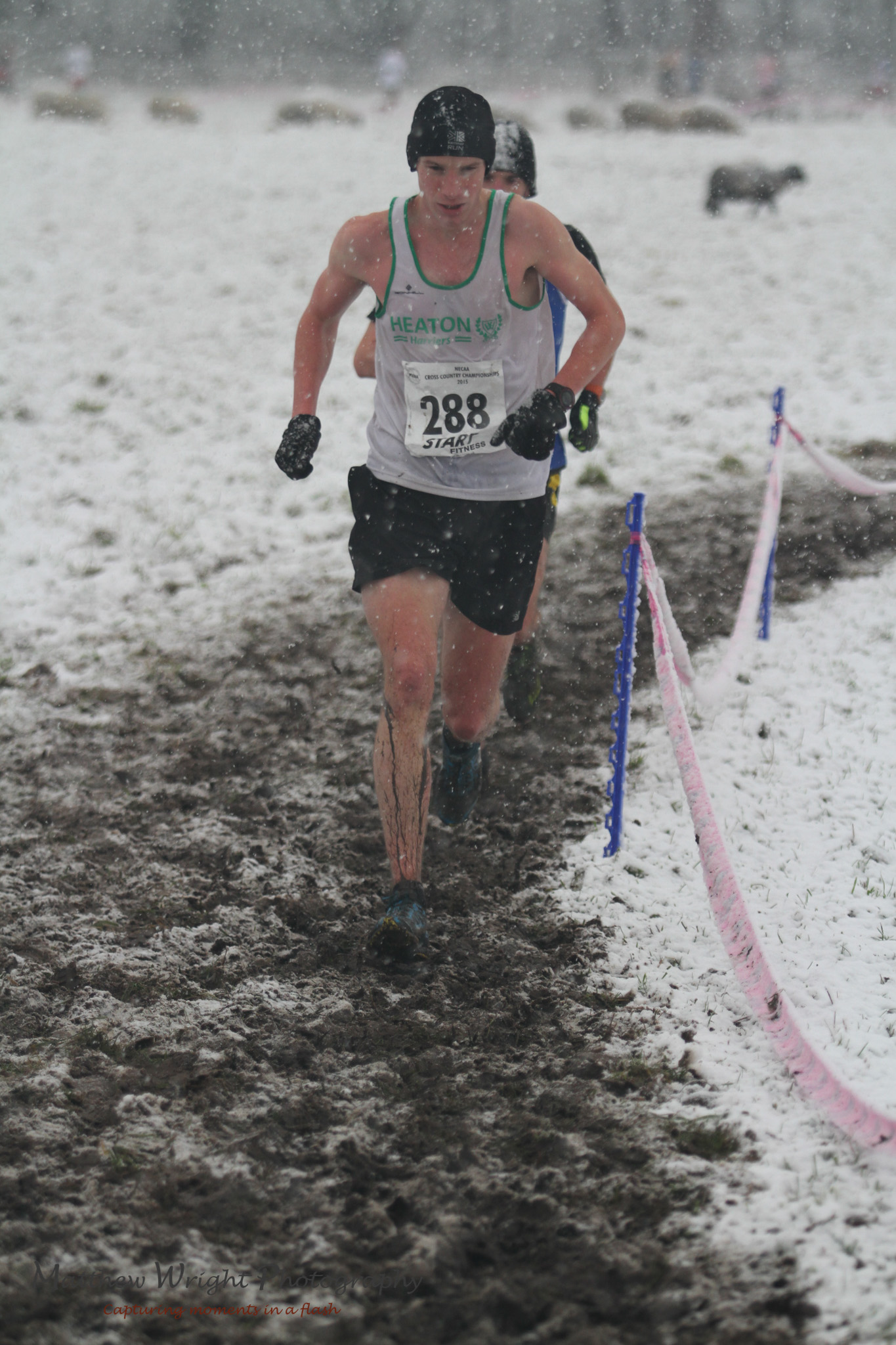Athlete Picture